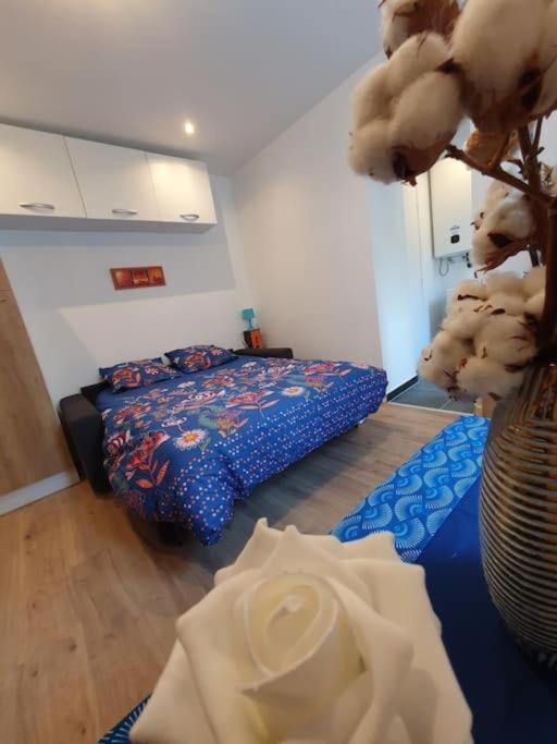 Appart'Hotel, Ikimo 5 Appartements Entiers A Votre Disposition Au Choix Nancy Exterior foto